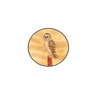 Angèle et l'oiseau blessé