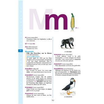 Dictionnaire Hachette Junior