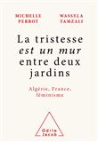 La tristesse est un mur entre deux jardins
