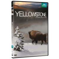 Yellowstone