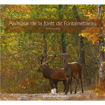 Visite sur la trace des animaux en forêt de Fontainebleau - Fontainebleau  Tourisme