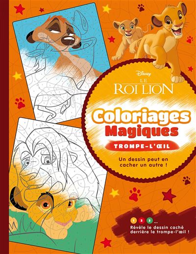 Le Roi Lion Coloriages Magiques Trompe L œil Collectif Broche Achat Livre Fnac