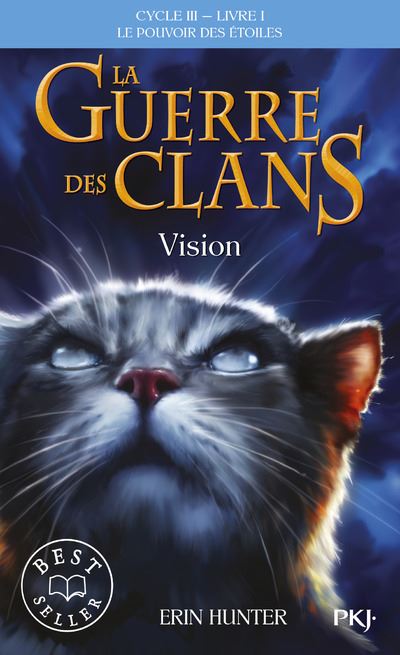 La guerre des clans cycle 3,1:vision