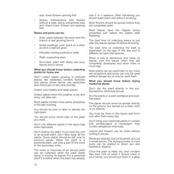 Family Medicinal Plant Gardens