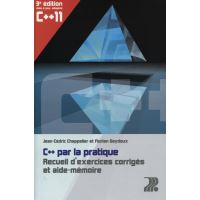 C++ par la pratique. recueil d'exercices corriges et aide-memoire