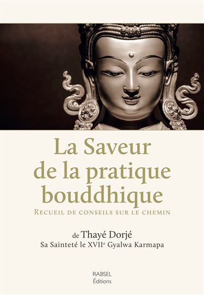 La Saveur de la pratique bouddhique - Dorjé Thaye - broché