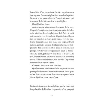 L'année des pierres