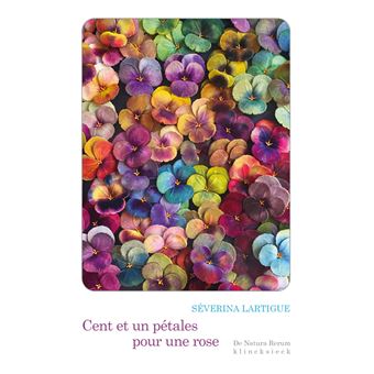 Cent et un pétales pour une rose