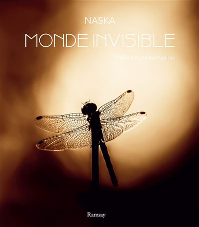 Monde invisible