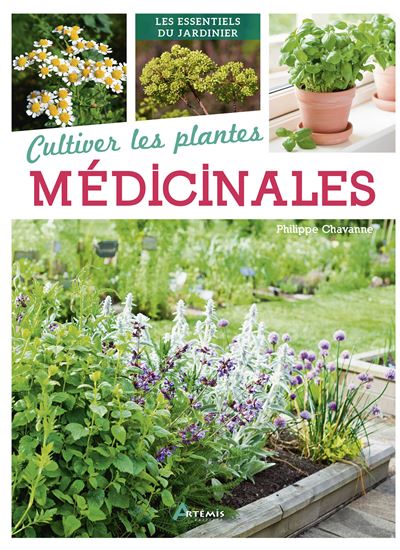 Thomas Alamy : Le grand livre des plantes médicinales