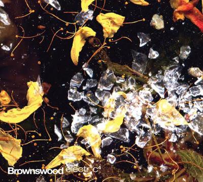 Brownswood electric 4