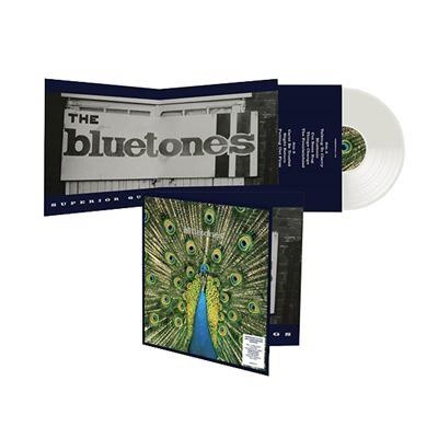 Expecting To Fly Vinyle Transparent