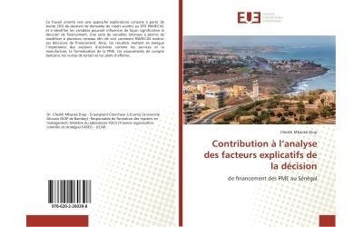 Contribution a l'analyse des facteurs explicatifs de la deci