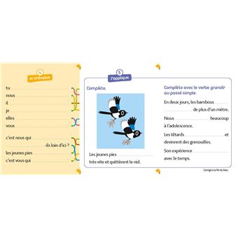 Mon bloc Conjugaison CM1/CM2