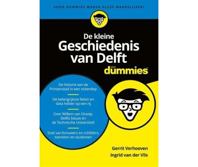 De kleine geschiedenis van Delft voor dummies