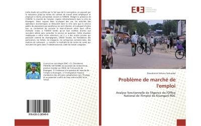Analyse fonctionnelle de l'Agence de l'Office National de l'Emploi de Kisangani-RDC