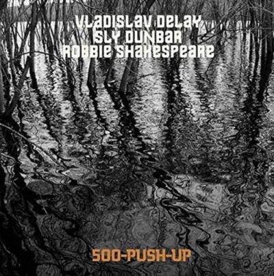 500 Push Up Edition Limitée Vinyle Coloré