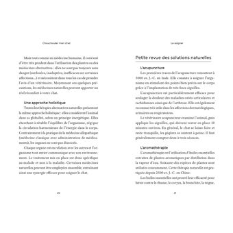 Mieux chouchouter mon chat