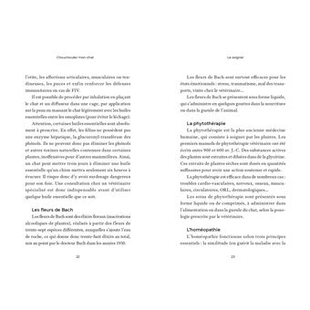 Mieux chouchouter mon chat