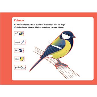 Les livres-ardoises - Je découvre les animaux Montessori