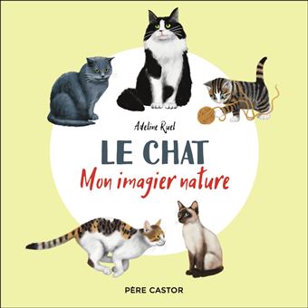 Le chat