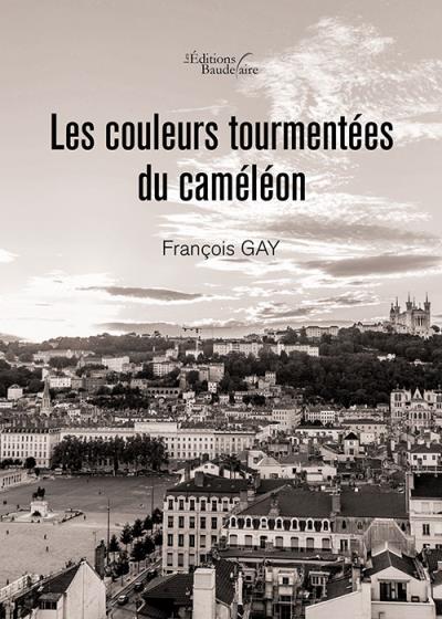 Les couleurs tourmentées du caméléon