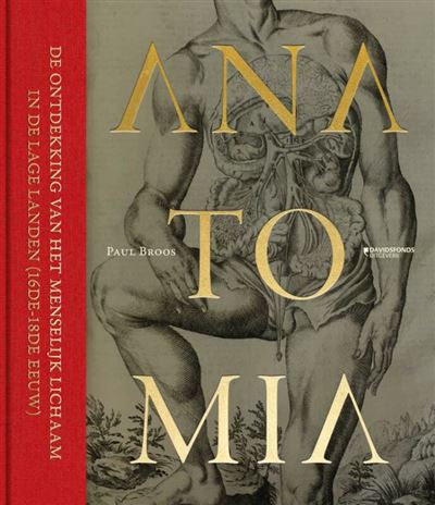 Anatomia