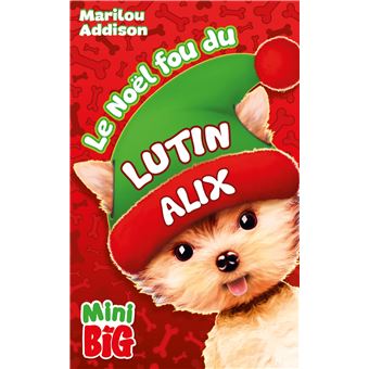 Le Noël fou du lutin Alix