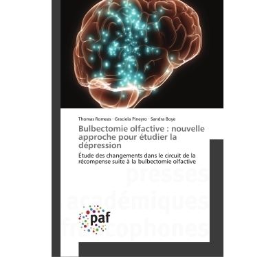 Bulbectomie olfactive : nouvelle approche pour etudier la de