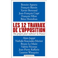 Les 12 travaux de l'opposition