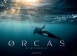 Orcas
