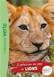 Wild Immersion 01 - Expédition au pays des lions