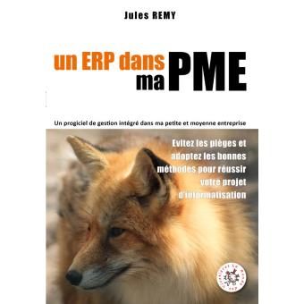 Un ERP dans ma PME - broché - Jules Rémy - Achat Livre ou ebook | fnac