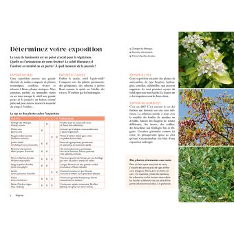 Un vrai jardin à ma fenêtre