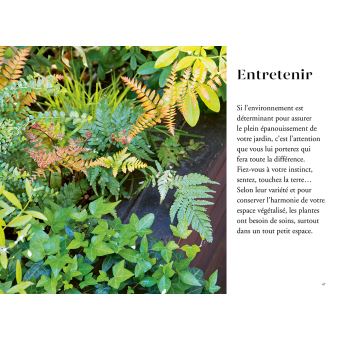 Un vrai jardin à ma fenêtre