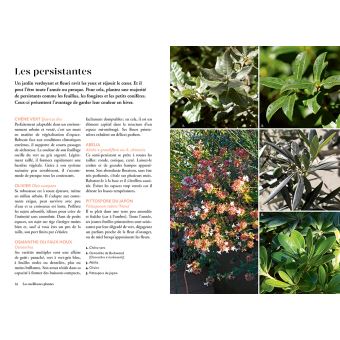 Un vrai jardin à ma fenêtre