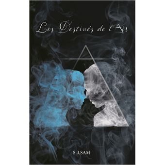 Les Destinés de l'Air