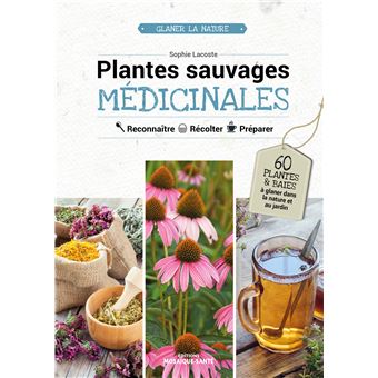 Plantes sauvages médicinales