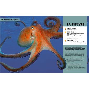 Découvre les supers pouvoirs de la nature