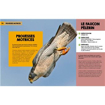 Découvre les supers pouvoirs de la nature