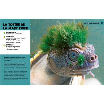 Découvre les supers pouvoirs de la nature