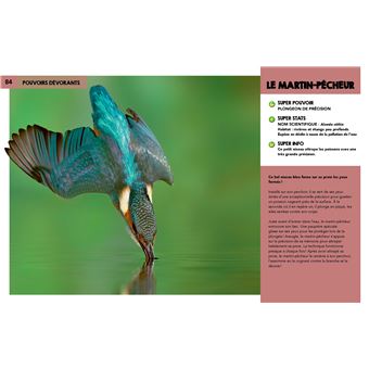 Découvre les supers pouvoirs de la nature
