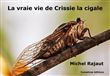 La vraie vie de Crissie la cigale