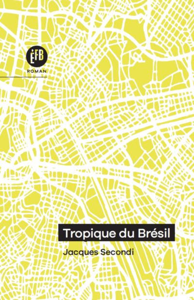 La couleur du Brésil