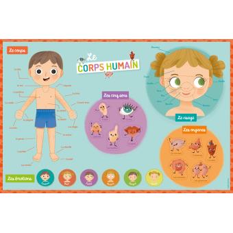 Ma pochette d'aimants - corps humain