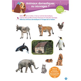 Disney animaux - De la Moyenne à la Grande Section - Cahier de vacances 2023