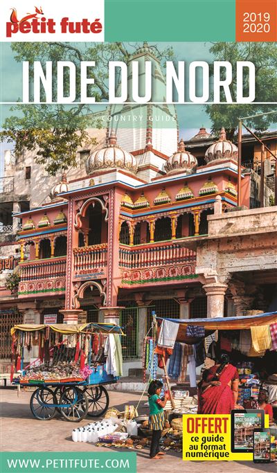 Guide Inde du Nord 2019-2020 Petit Futé - Dominique Auzias - broché