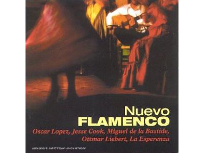 Nuevo flamenco