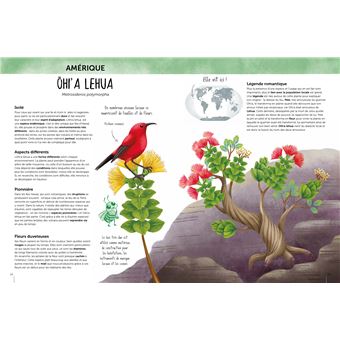 L'Atlas de la biodiversité Flore du monde