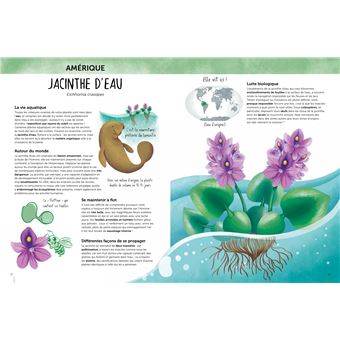 L'Atlas de la biodiversité Flore du monde